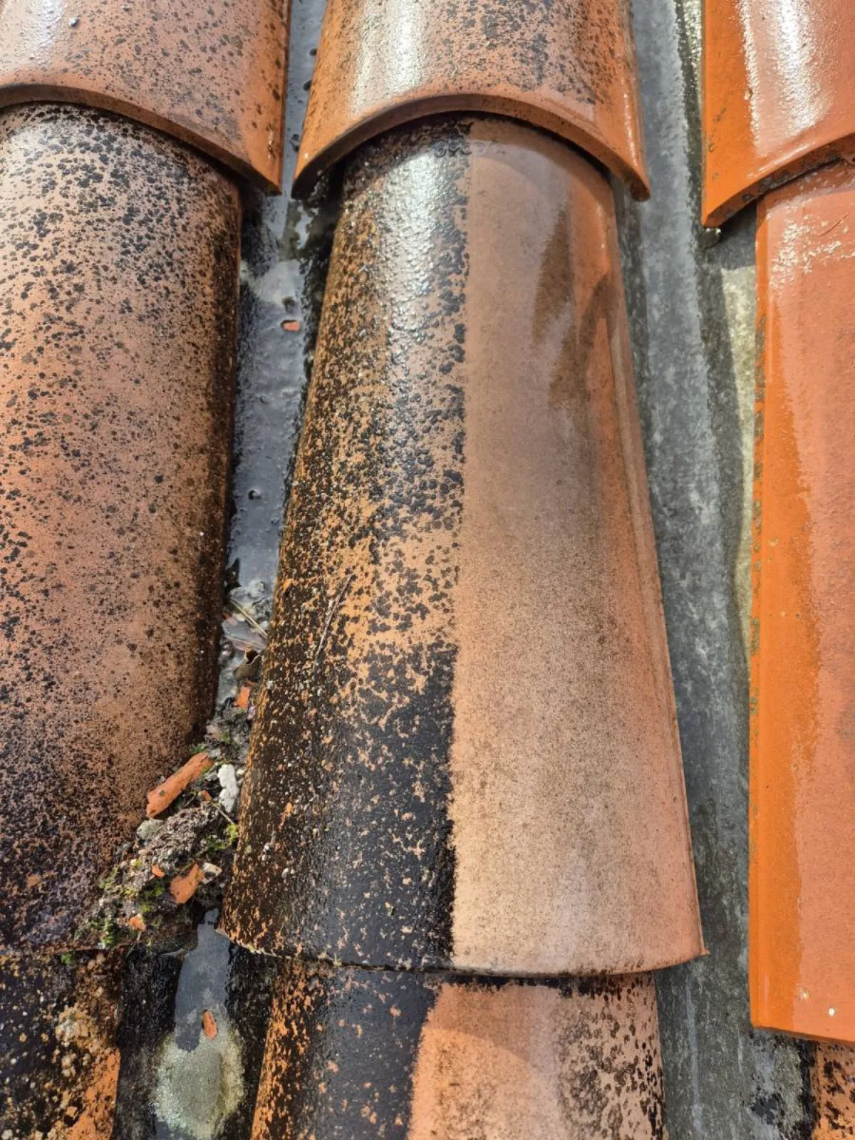 Nettoyage toiture tuiles Yvelines